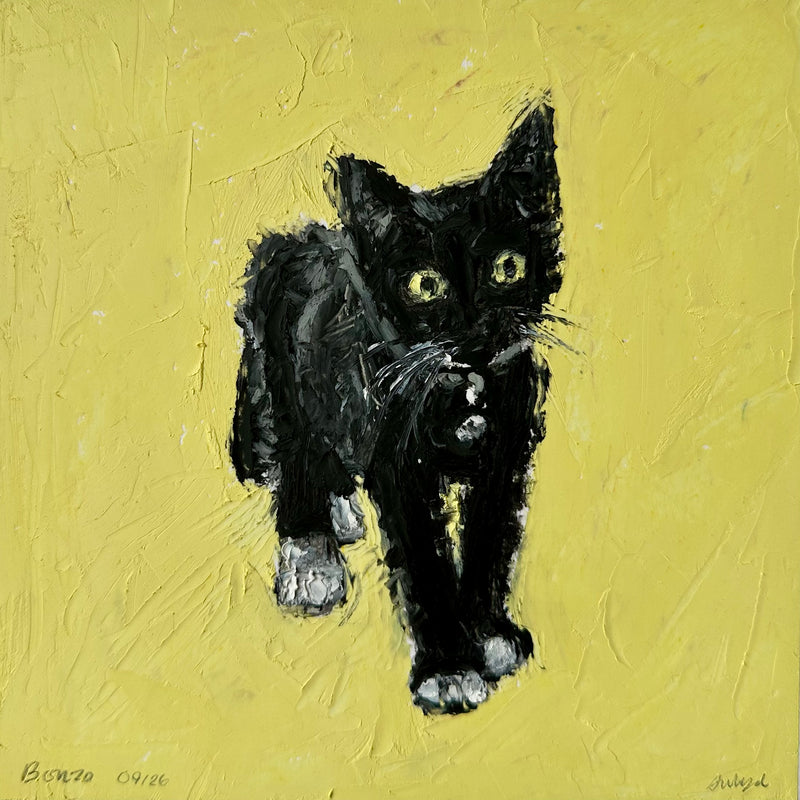 Kitten