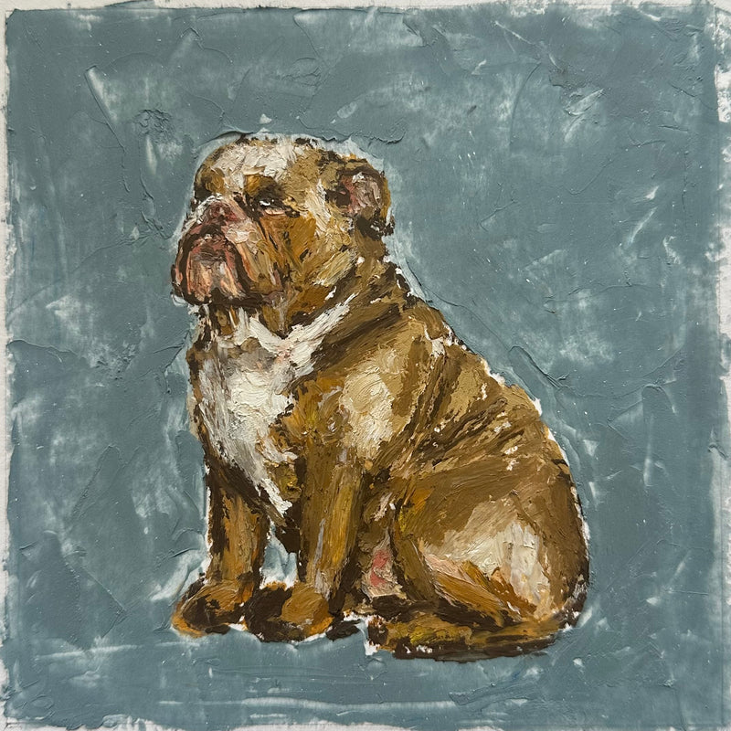 Bulldog